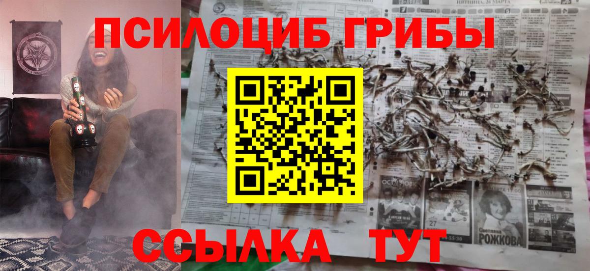 Галлюциногенные грибы Psilocybine cubensis Ишим