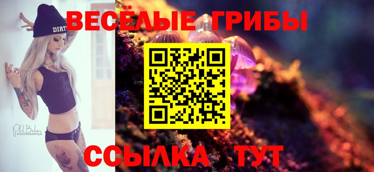 Псилоцибиновые грибы Psilocybe  Вход с VPN  Ишим  Галлюциногенные грибы Magic Shrooms 
